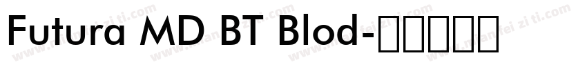 Futura MD BT Blod字体转换